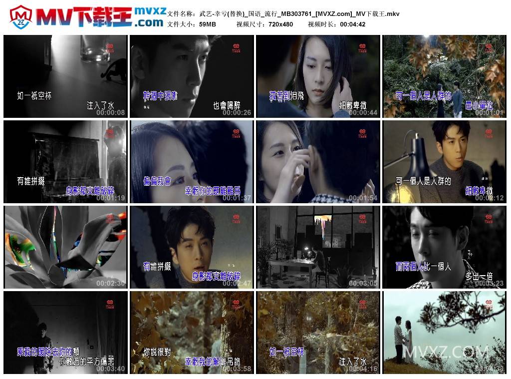 武艺-幸亏(替换)_国语_流行_MB303761